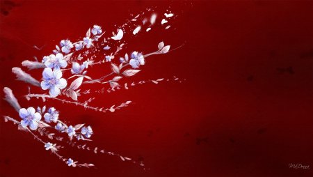 Цветы Сакуры на темном фоне