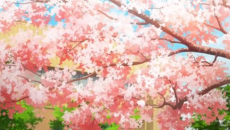 Сакура аниме