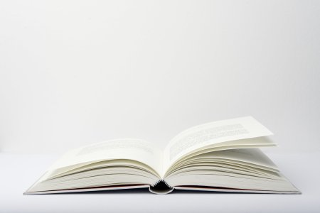 Раскрытая книга