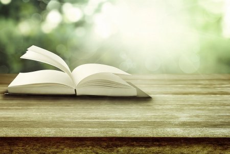 Литературный фон