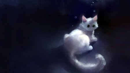 Аниме кошка