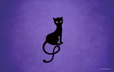 Кот на фиолетовом фоне