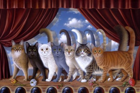 Много котов