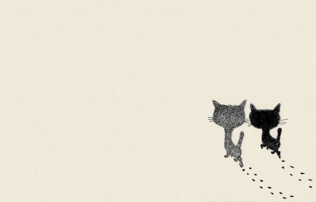 Кот Минимализм
