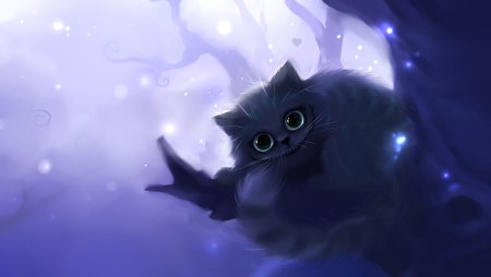 Рихард Донскис котики