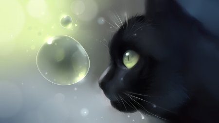 Рихардс Донскис