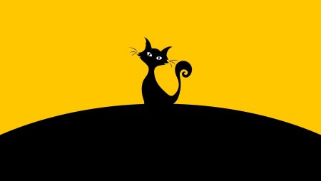 Кошка Минимализм