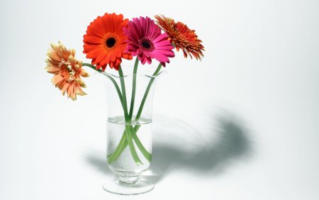 Цветы в вазе