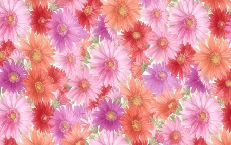 Обои с герберами для стен