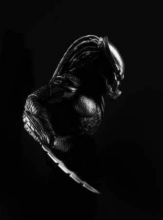 Хищник на черном фоне