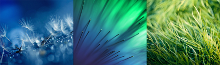 Стандартные обои HTC