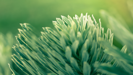 Стандартные обои HTC