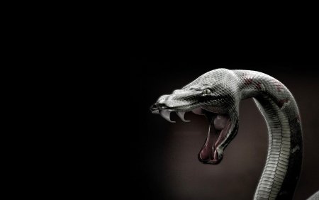 Оскал кобры