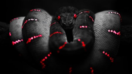 Тапочки Razer Snake Snake