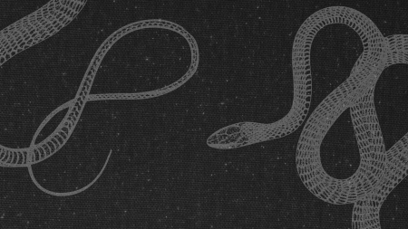 Бесшовный фон змеи