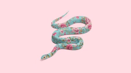 Змеи Эстетика