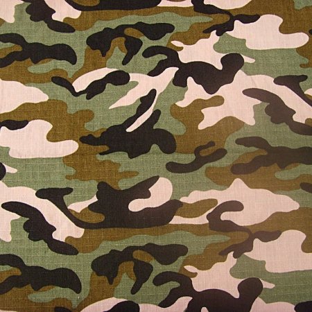 Камуфляжный цвет