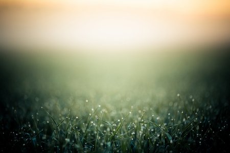 Нейтральный фон