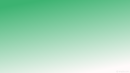 Светлый фон для презентации