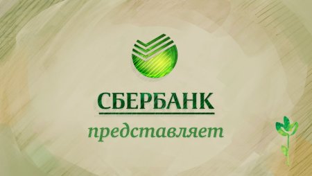 Сбербанк презентация