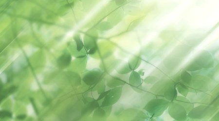 Нежно зеленый фон