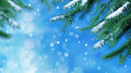 Зимний фон для фотошопа