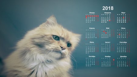 Фон для календаря