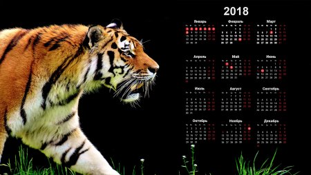 Фон для календаря июнь