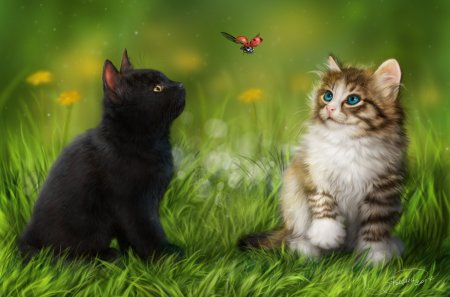 Заставки на телефон кошки