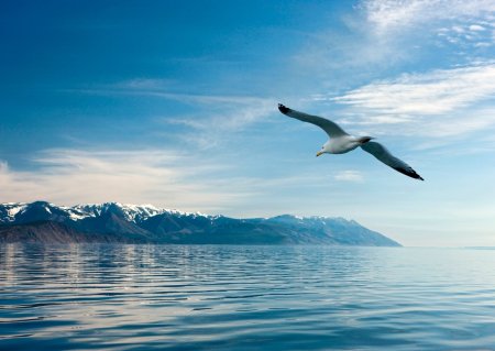 Фон озеро Байкал