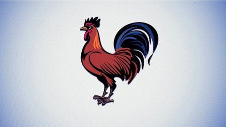 Петух рисунок