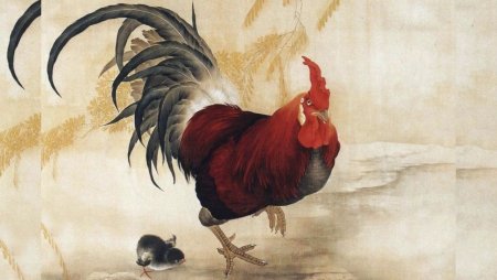 2017 Год красного огненного петуха