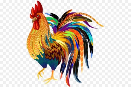 Петух на прозрачном фоне
