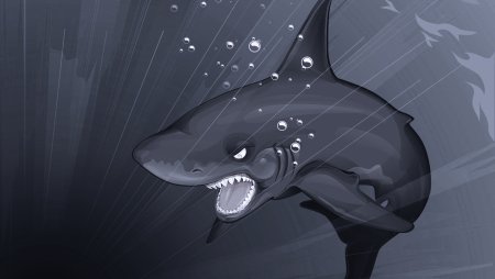 Акула на рабочий стол