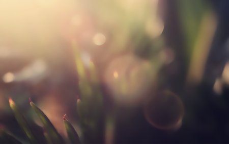 Темный размытый фон