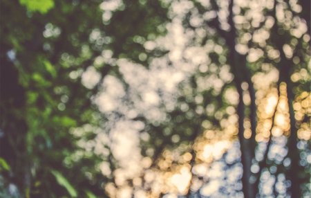 Боке природа