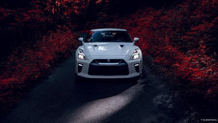 Nissan GTR r35 в лесу