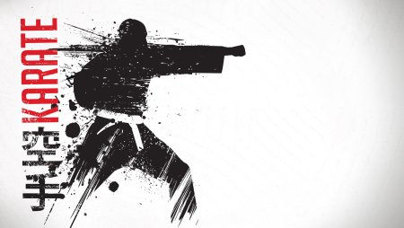 Каратист арт