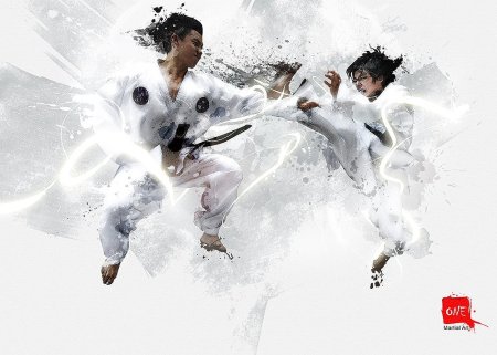 Фотообои карате