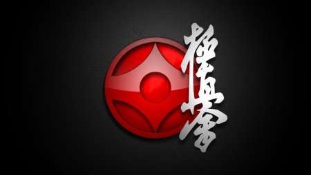 Кёкушин Кан символика