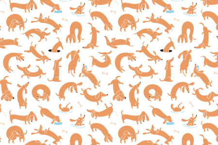 Обои с таксами виниловые