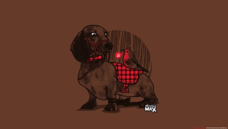 Обои на телефон такса