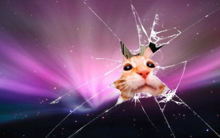 Классные заставки на рабочий стол