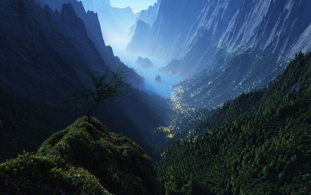Горы ущелье Долина лес