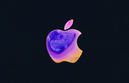 Apple iphone 12 Pro Max заставка