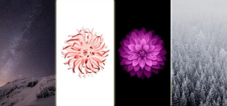 Оригинальные обои iphone