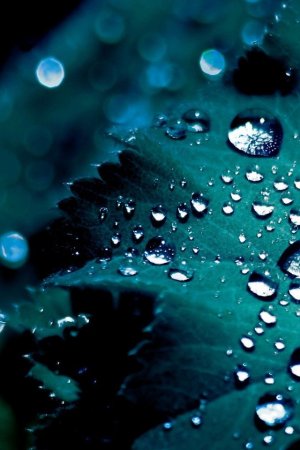 Обои на телефон нокиа