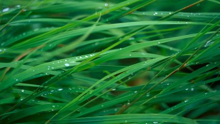 Оригинальные обои нокиа