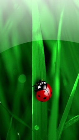 Фоновый рисунок нокиа