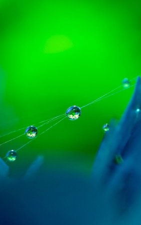 Нокиа картинки